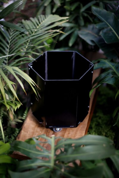 Maceta hexagonal chica negra rugoso - Imagen 7