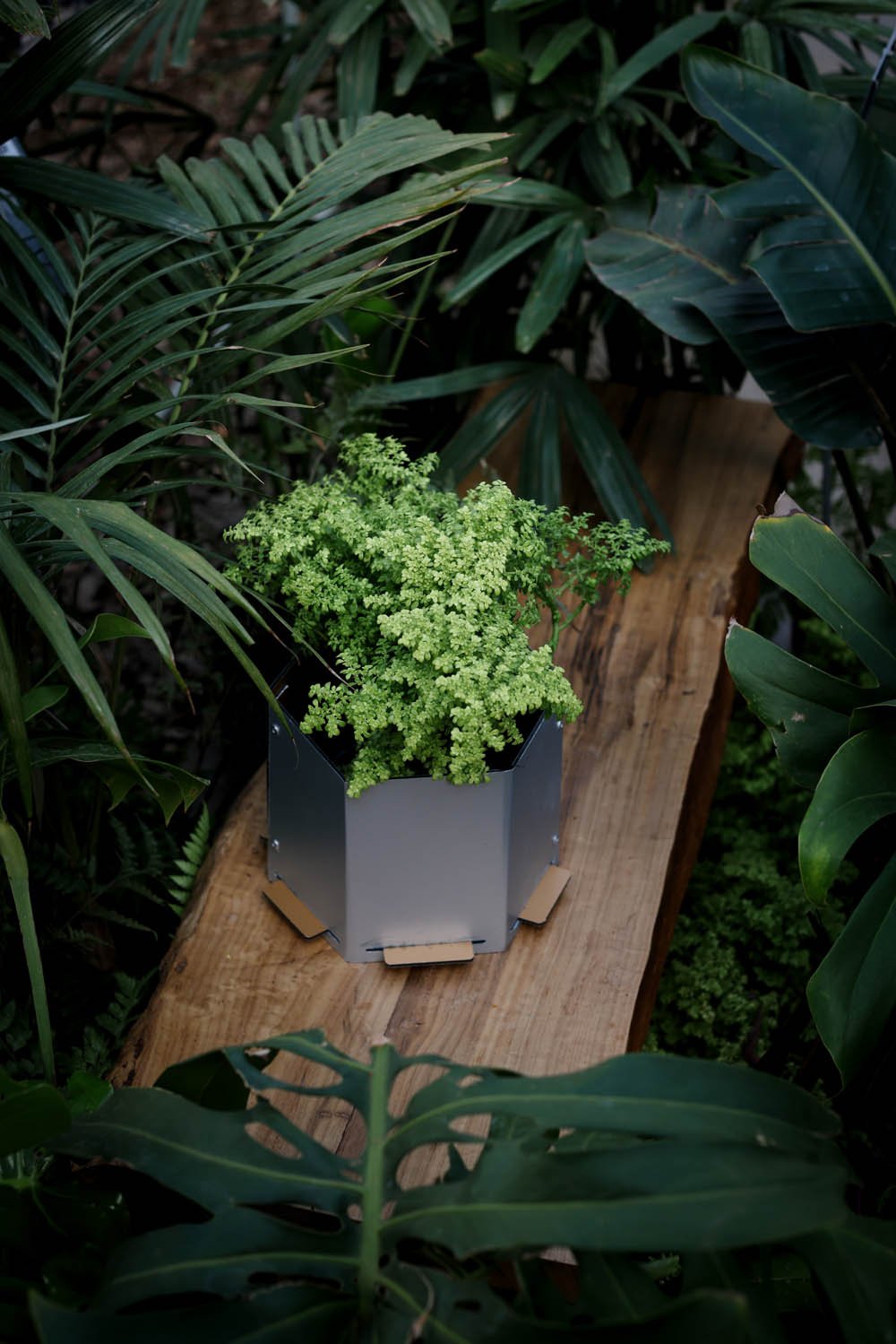 Maceta hexagonal mediana gris plata
