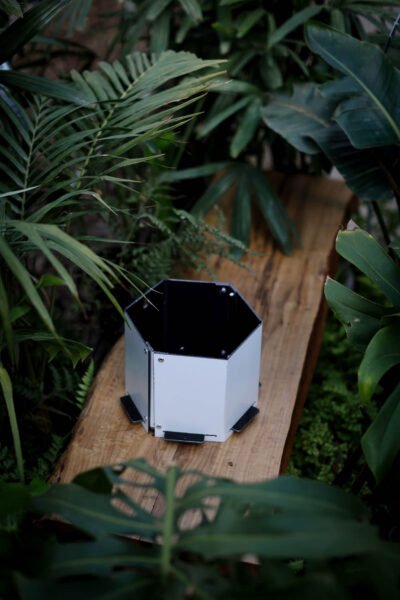 Maceta hexagonal mediana blanca y negra - Imagen 3
