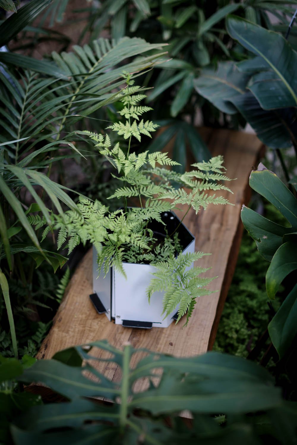 Maceta hexagonal mediana blanca y negra