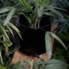 Maceta hexagonal grande negra con ruedas - -