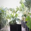 Maceta huertera mediana con ruedas - -