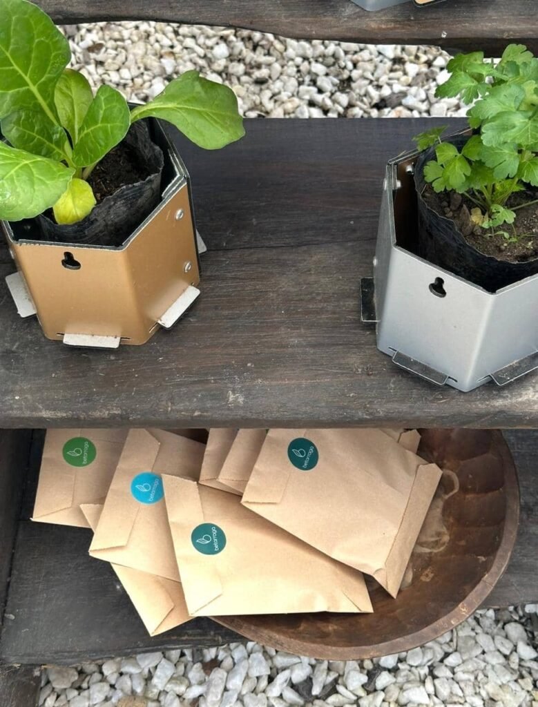 Taller de Huerta Viva - - Notas