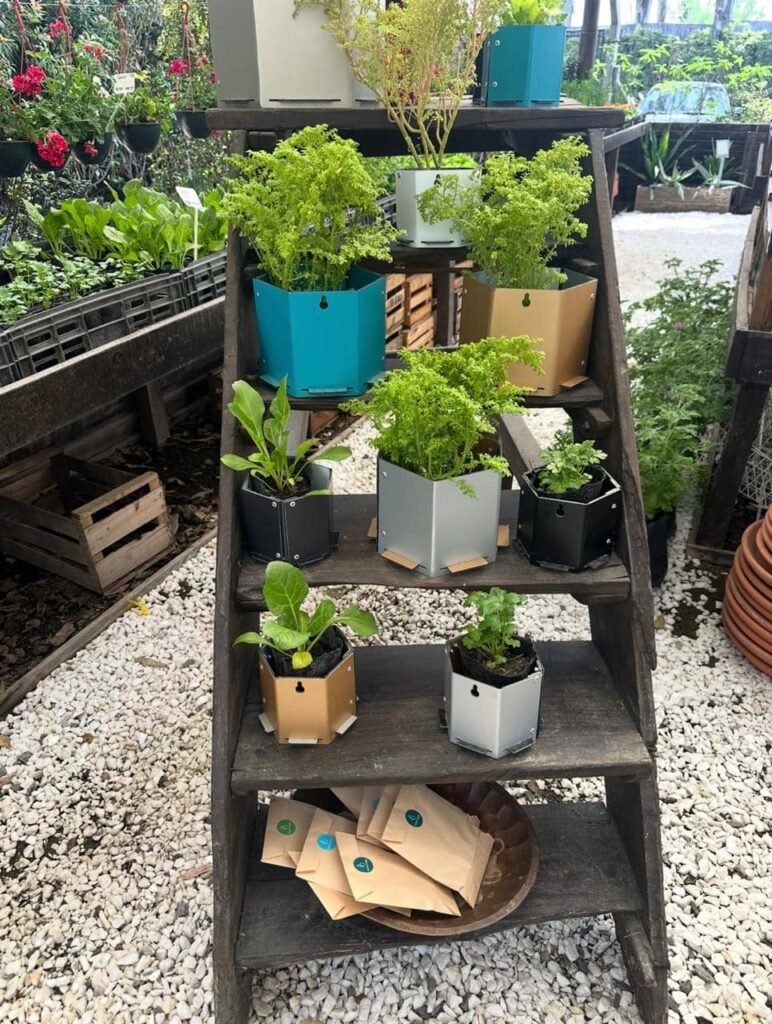 Taller de Huerta Viva - - Notas