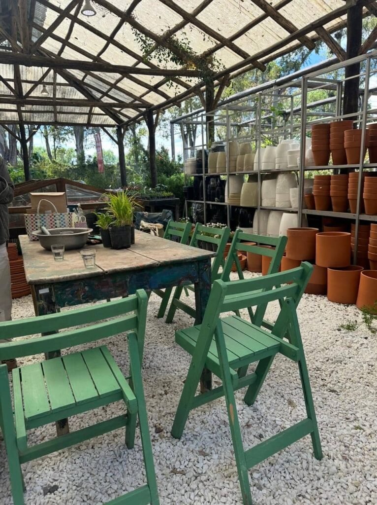 Taller de Huerta Viva - - Notas