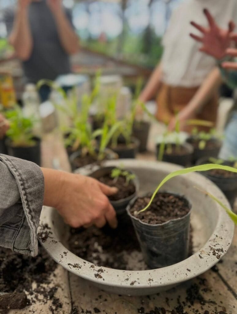 Taller de Huerta Viva - - Notas