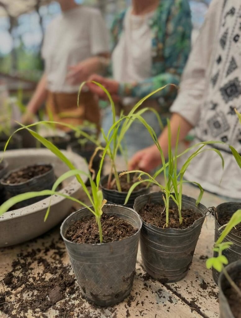 Taller de Huerta Viva - - Notas