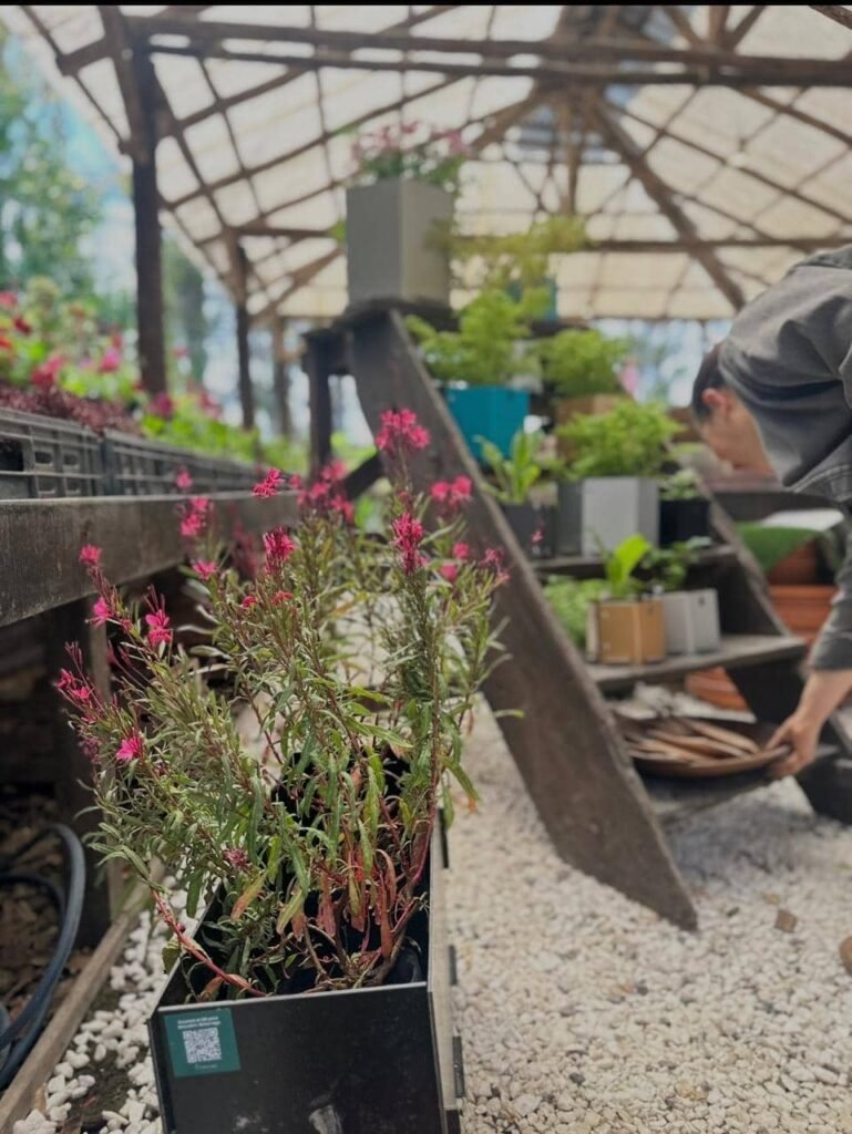 Taller de Huerta Viva - - Notas