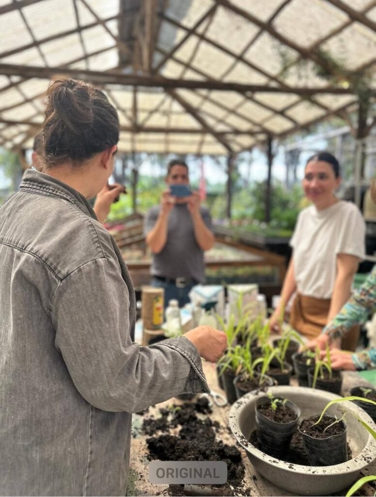 Taller de Huerta Viva - - Notas