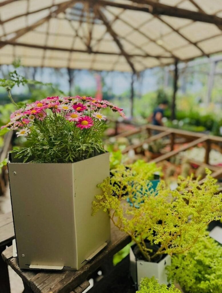 Taller de Huerta Viva - - Notas