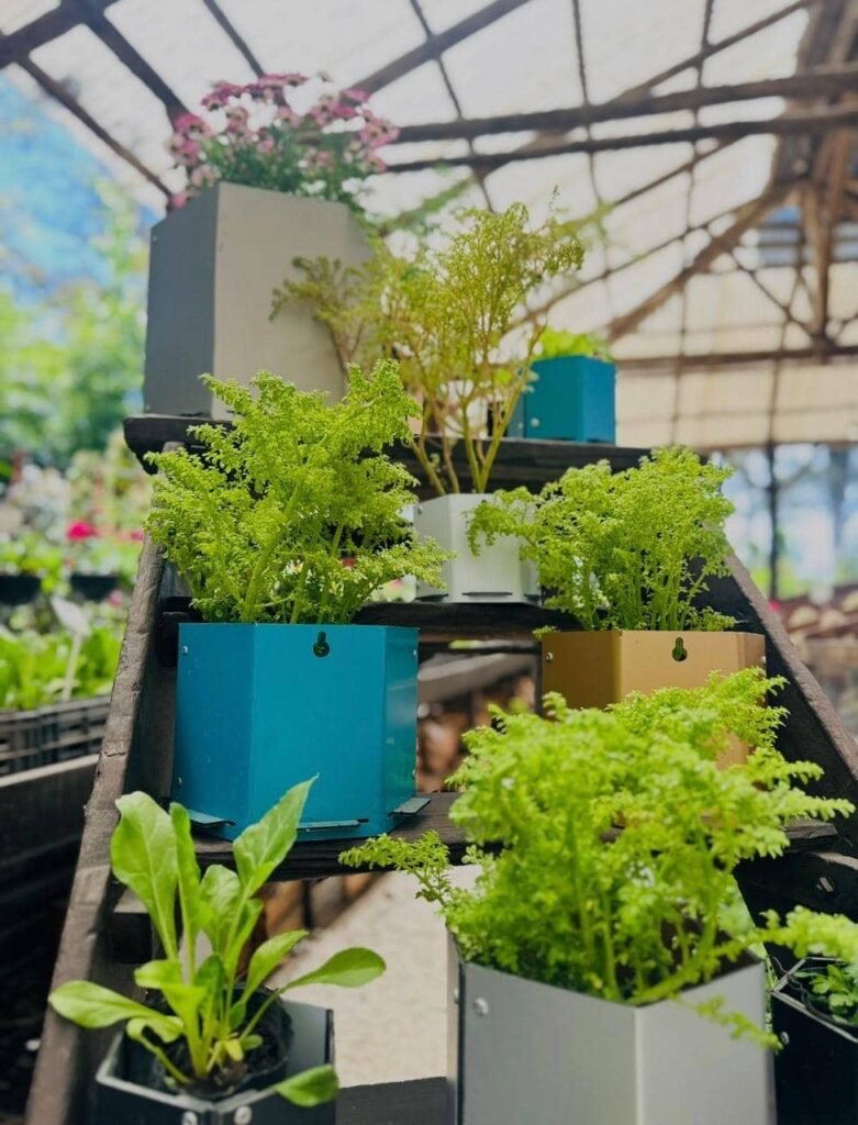 Taller de Huerta Viva - - Notas