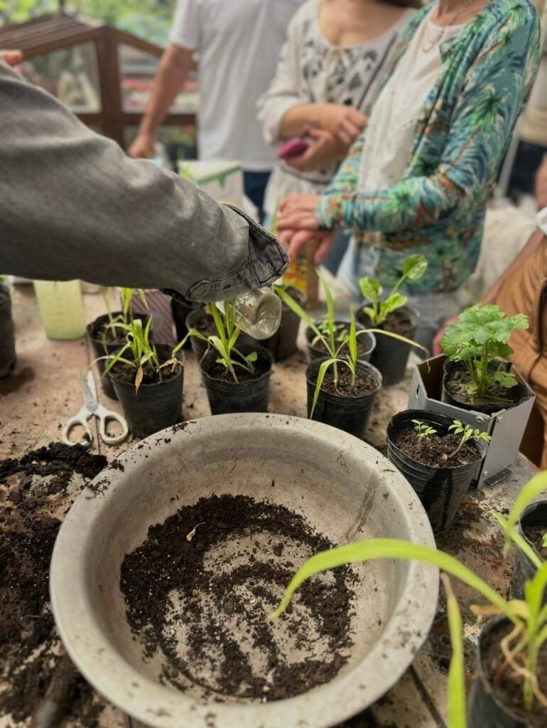 Taller de Huerta Viva - - Notas