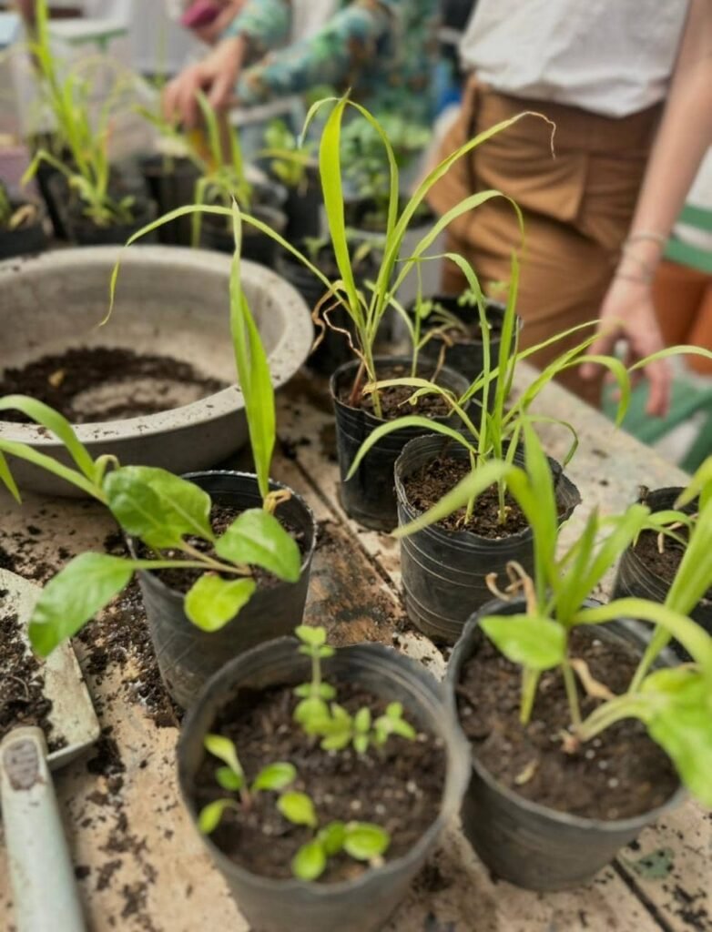 Taller de Huerta Viva - - Notas