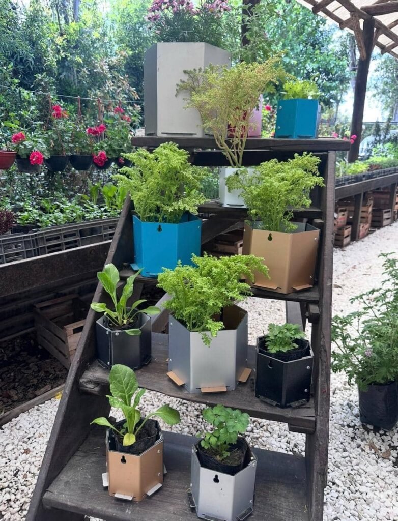 Taller de Huerta Viva - - Notas