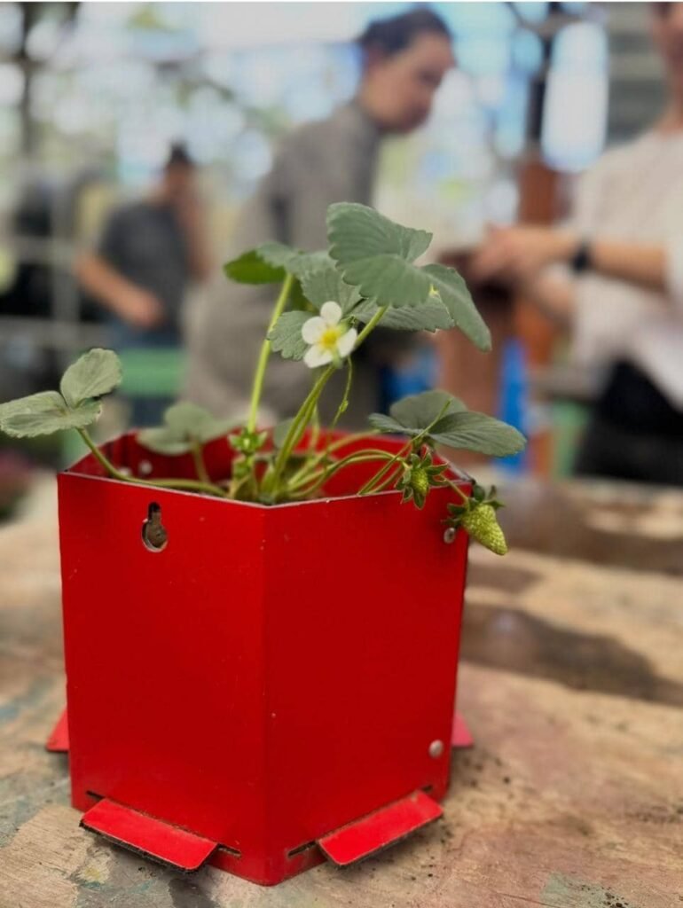 Taller de Huerta Viva - - Notas