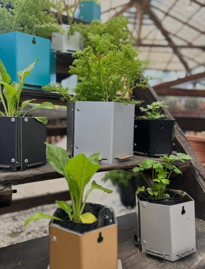 Taller de Huerta Viva - - Notas