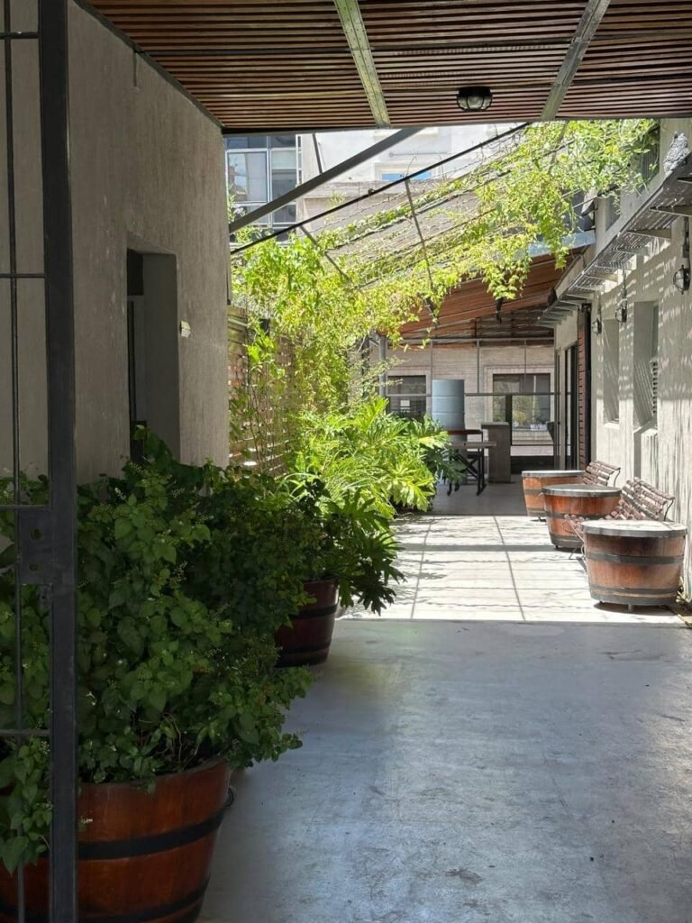 Diseñar jardines naturalistas que laten: donde lo nativo, lo comestible y lo vivo se encuentran - - Notas