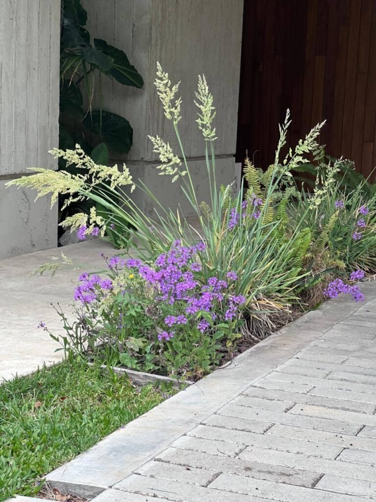 Diseñar jardines naturalistas que laten: donde lo nativo, lo comestible y lo vivo se encuentran - - Notas