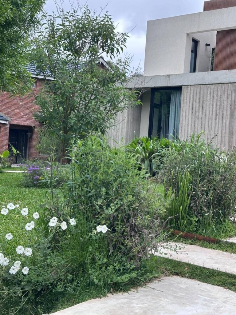 Diseñar jardines naturalistas que laten: donde lo nativo, lo comestible y lo vivo se encuentran - - Notas