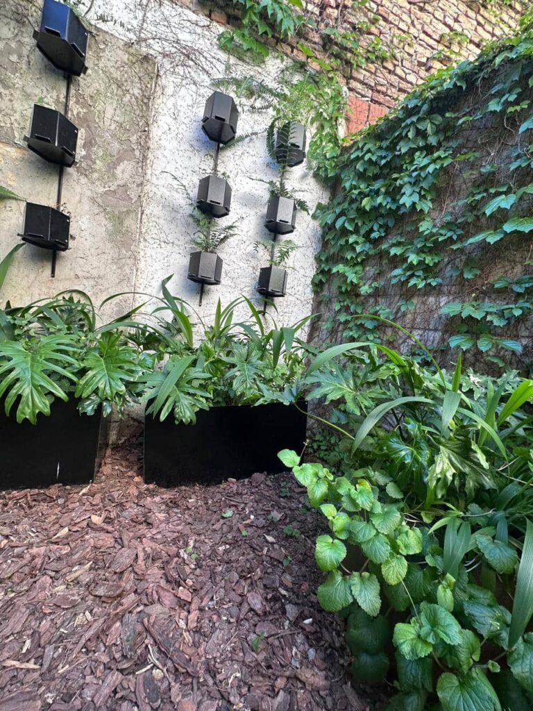 Diseñar jardines naturalistas que laten: donde lo nativo, lo comestible y lo vivo se encuentran - - Notas