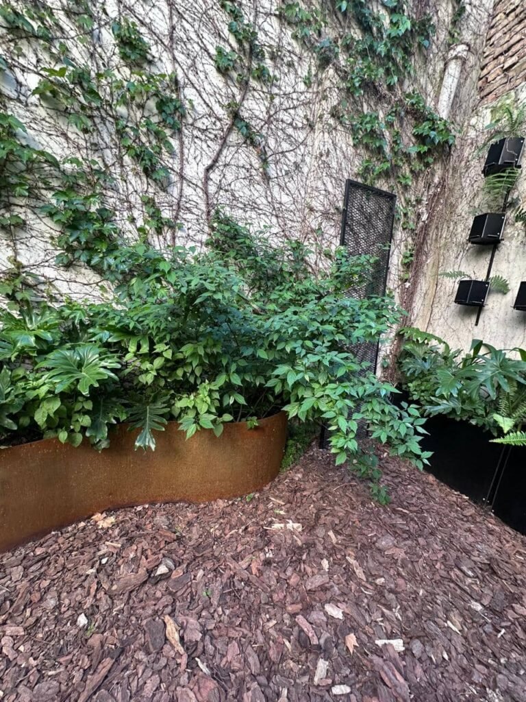 Diseñar jardines naturalistas que laten: donde lo nativo, lo comestible y lo vivo se encuentran - - Notas