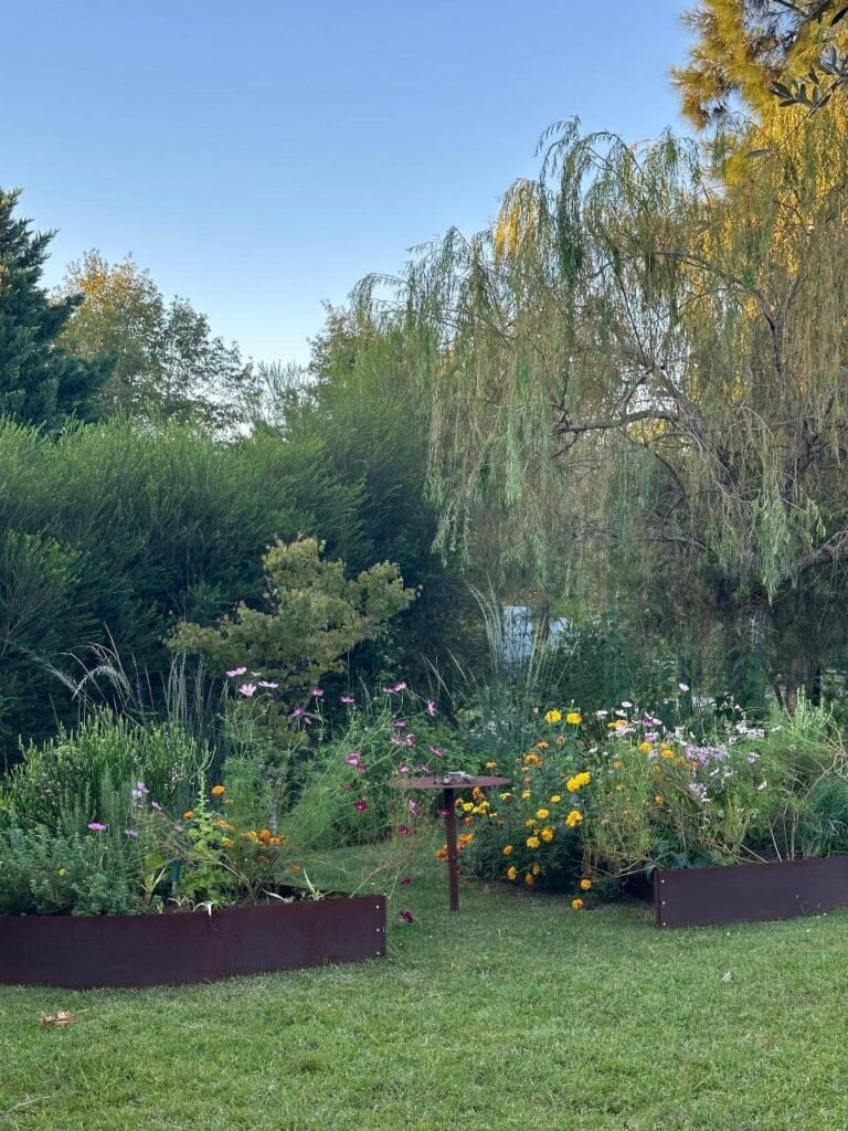 Diseñar jardines naturalistas que laten: donde lo nativo, lo comestible y lo vivo se encuentran - - Notas