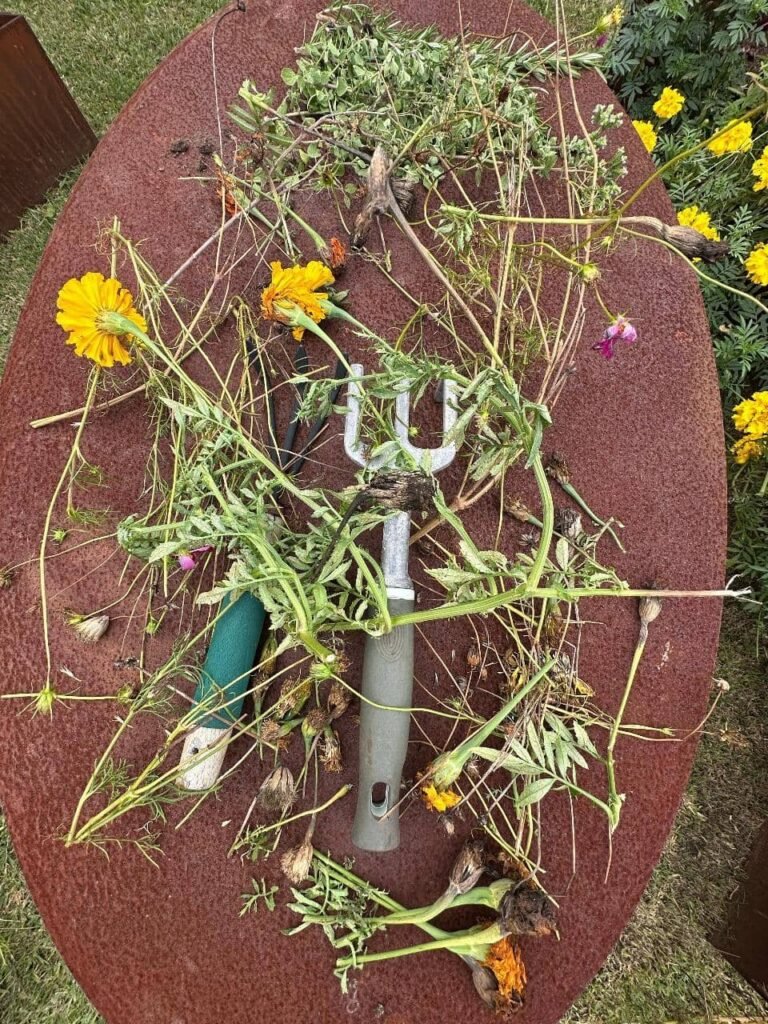 Diseñar jardines naturalistas que laten: donde lo nativo, lo comestible y lo vivo se encuentran - - Notas