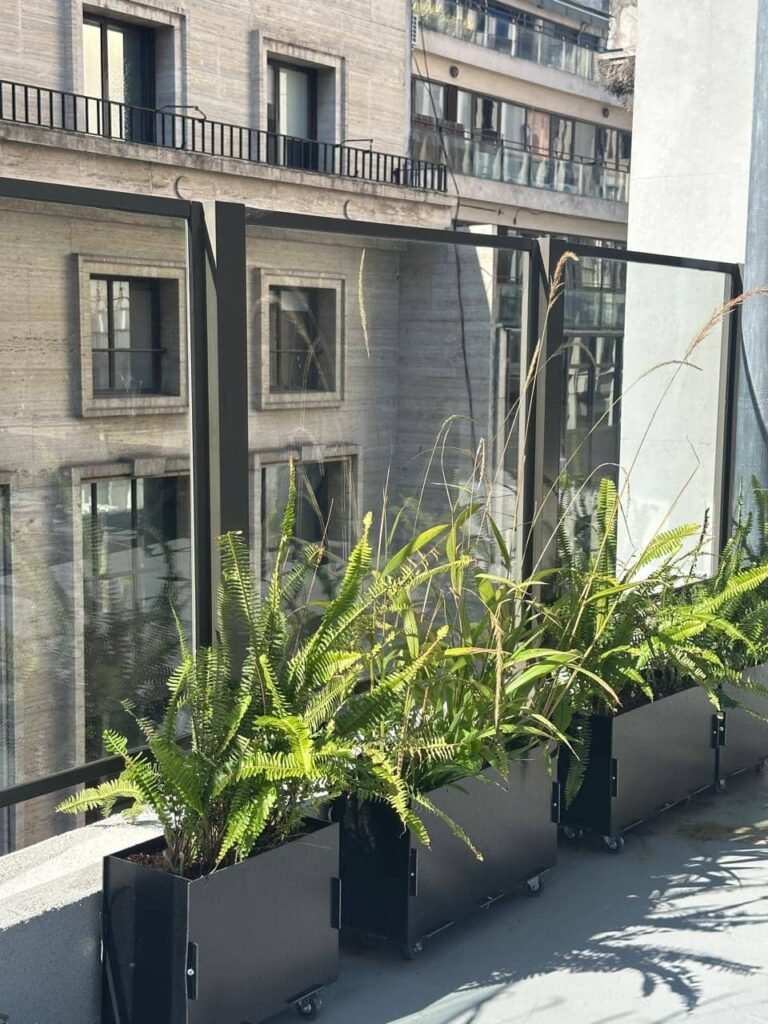 Diseñar jardines naturalistas que laten: donde lo nativo, lo comestible y lo vivo se encuentran - - Notas