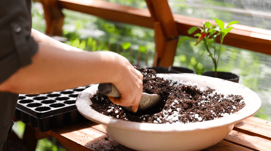 El bienestar empieza en el suelo:cuerpo naturaleza y salud - - Notas