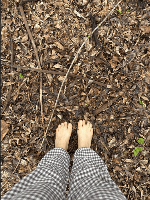 El bienestar empieza en el suelo:cuerpo naturaleza y salud - - Notas