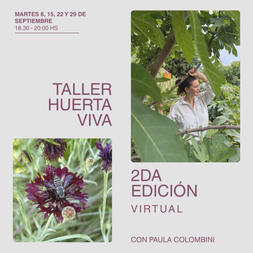 Taller Huerta Viva 2da. edición