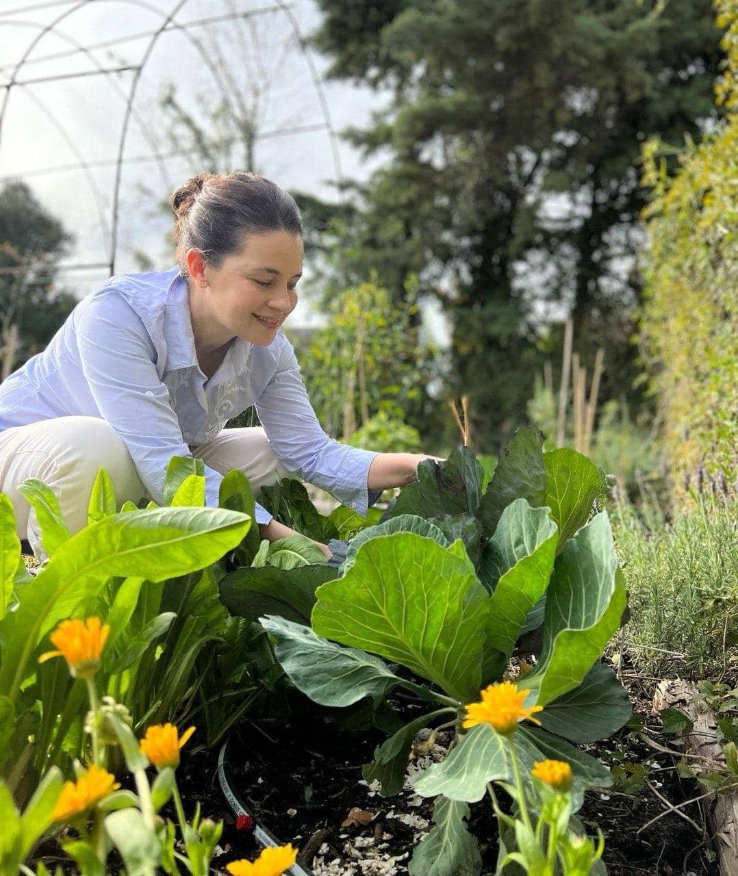 Paula Colombini entre calendulas y lechugas
