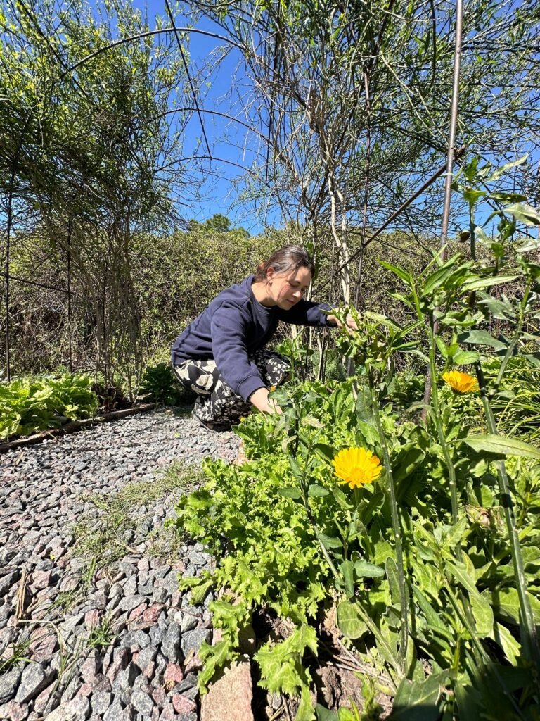Asociación de cultivos: el arte de crecer en compañía - - Notas