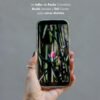 Taller Un mundo sucediendo - Fotografía de huerta y nativas con el celular - -