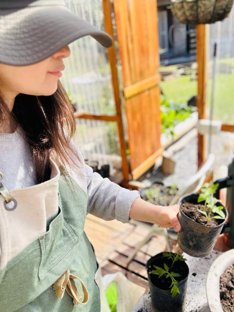 ¿Cómo sembrar en la huerta orgánica?: semillas, almácigos y suelo vivo. - - Notas
