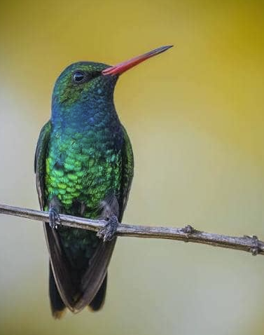 Un ecosistema en movimiento - - Los caminos del jardín