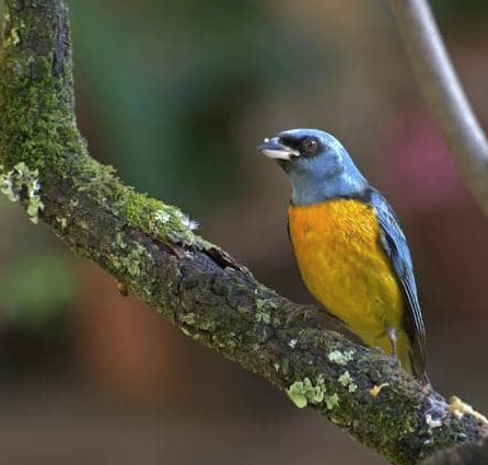 Un ecosistema en movimiento - - Los caminos del jardín