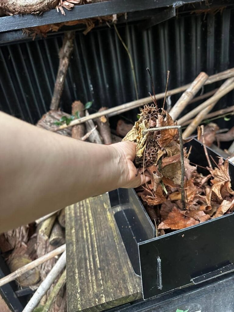 5 claves para un suelo vivo en invierno: secretos de la hojarasca, compost y plantas nativas - - Notas