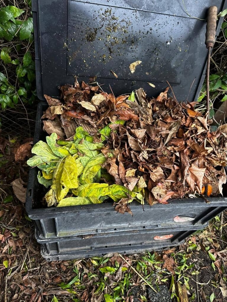 5 claves para un suelo vivo en invierno: secretos de la hojarasca, compost y plantas nativas - - Notas
