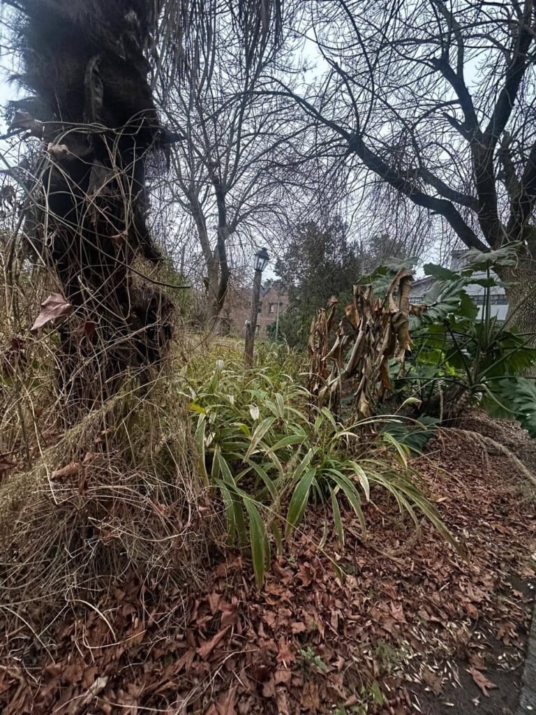 "Paula Colombini observando el suelo vivo en una huerta orgánica en invierno"