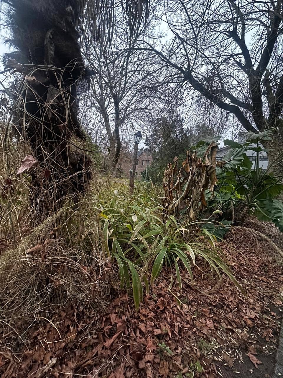 "Paula Colombini observando el suelo vivo en una huerta orgánica en invierno"
